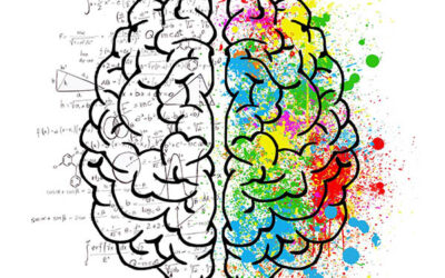 Soft skills #1 : la créativité