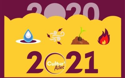 2020 sous le prisme des 4 éléments